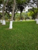 Sede Campestre-8